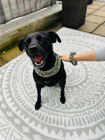 Paw-some Bandana